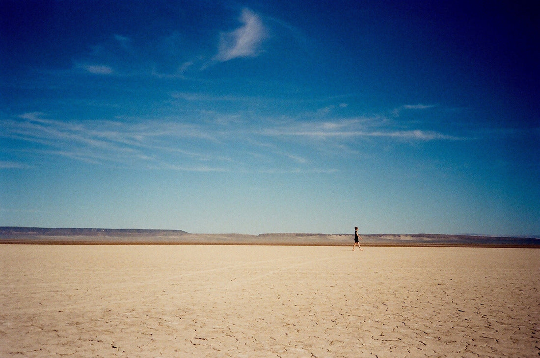 THE ALVORD DESERT