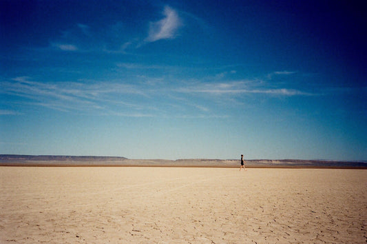 THE ALVORD DESERT