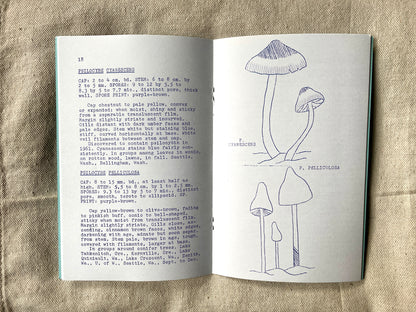 Magic Mushrooms- A Guide to the 12 Hallucinogenic Species of the Pacific Northwest Zine