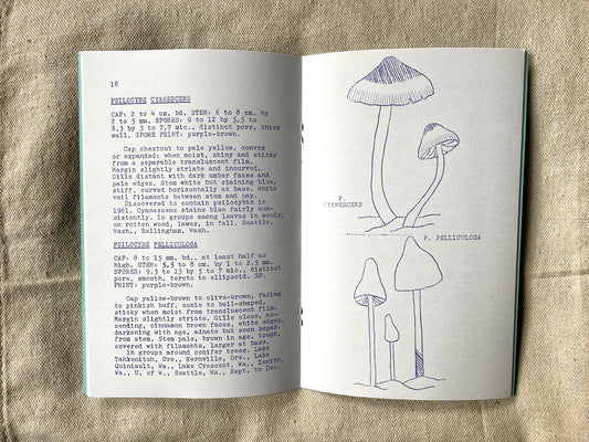 Magic Mushrooms- A Guide to the 12 Hallucinogenic Species of the Pacific Northwest Zine