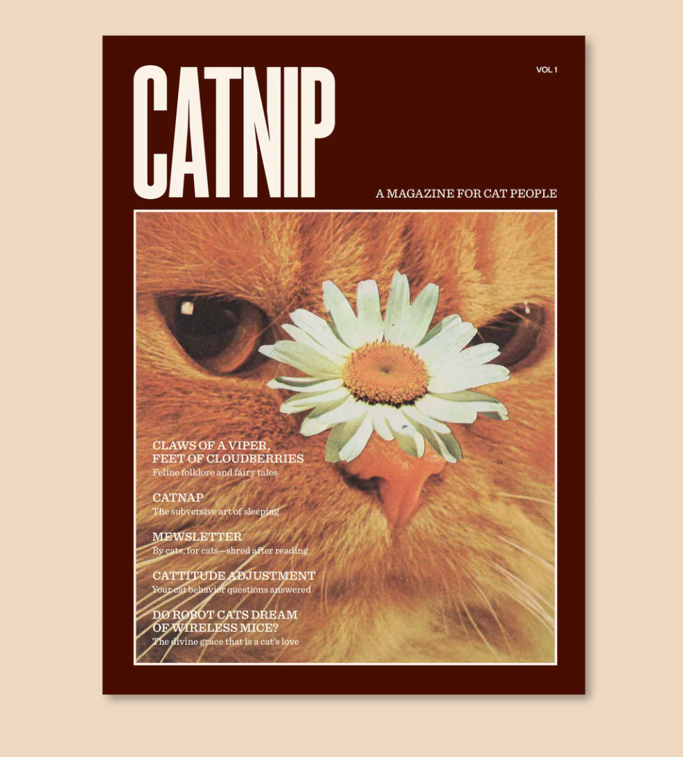 Catnip Magazine by Broccoli