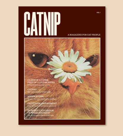 Catnip Magazine by Broccoli