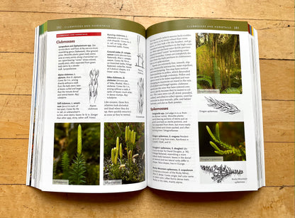 Cascadia Revealed A Guide to the Plants, Animals, and Geology of the Pacific Northwest Mountains Book by Daniel Mathews