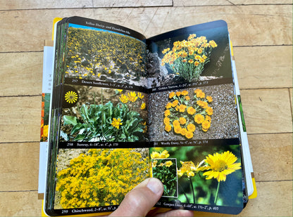 National Audubon Society Field Guide to Wildflowers Western Region  North America Revised Edition Book