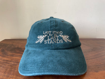 Last Stand for the Last Stands Hat