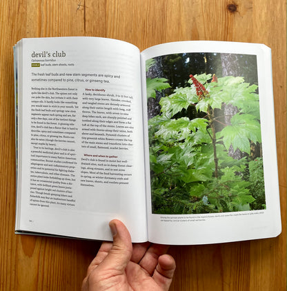 Pacific Northwest Foraging Book