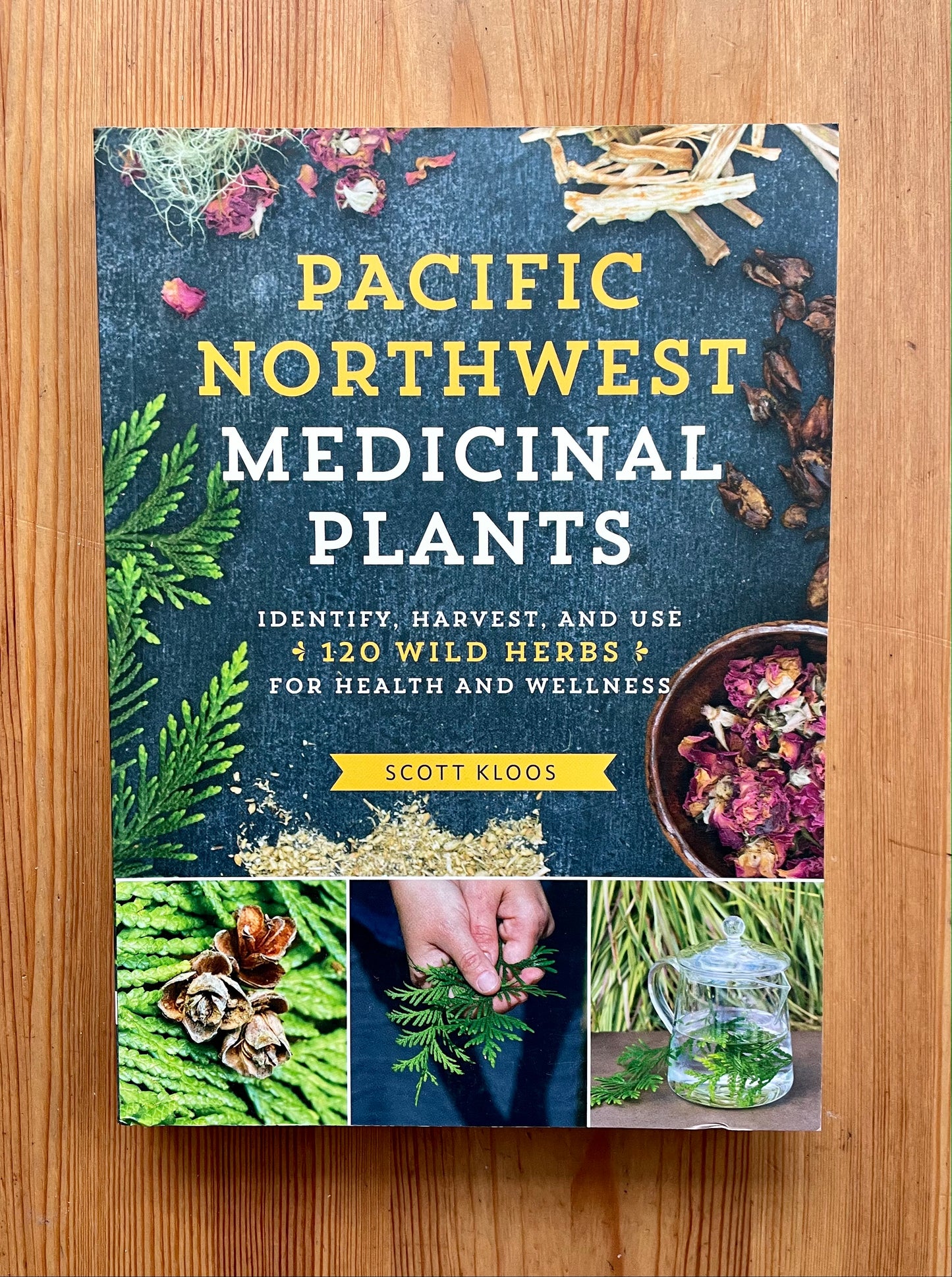 Pacific Northwest Medicinal Plants Book