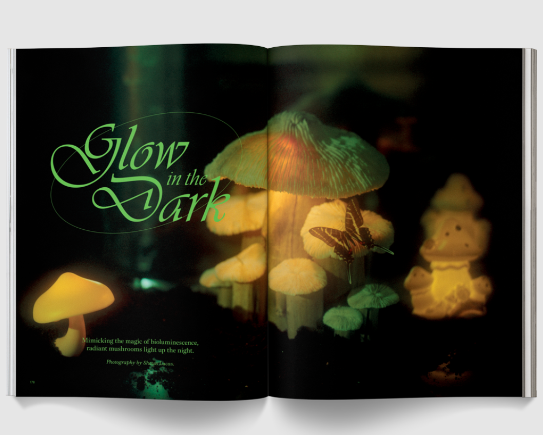 Mushroom People Magazine by Broccoli