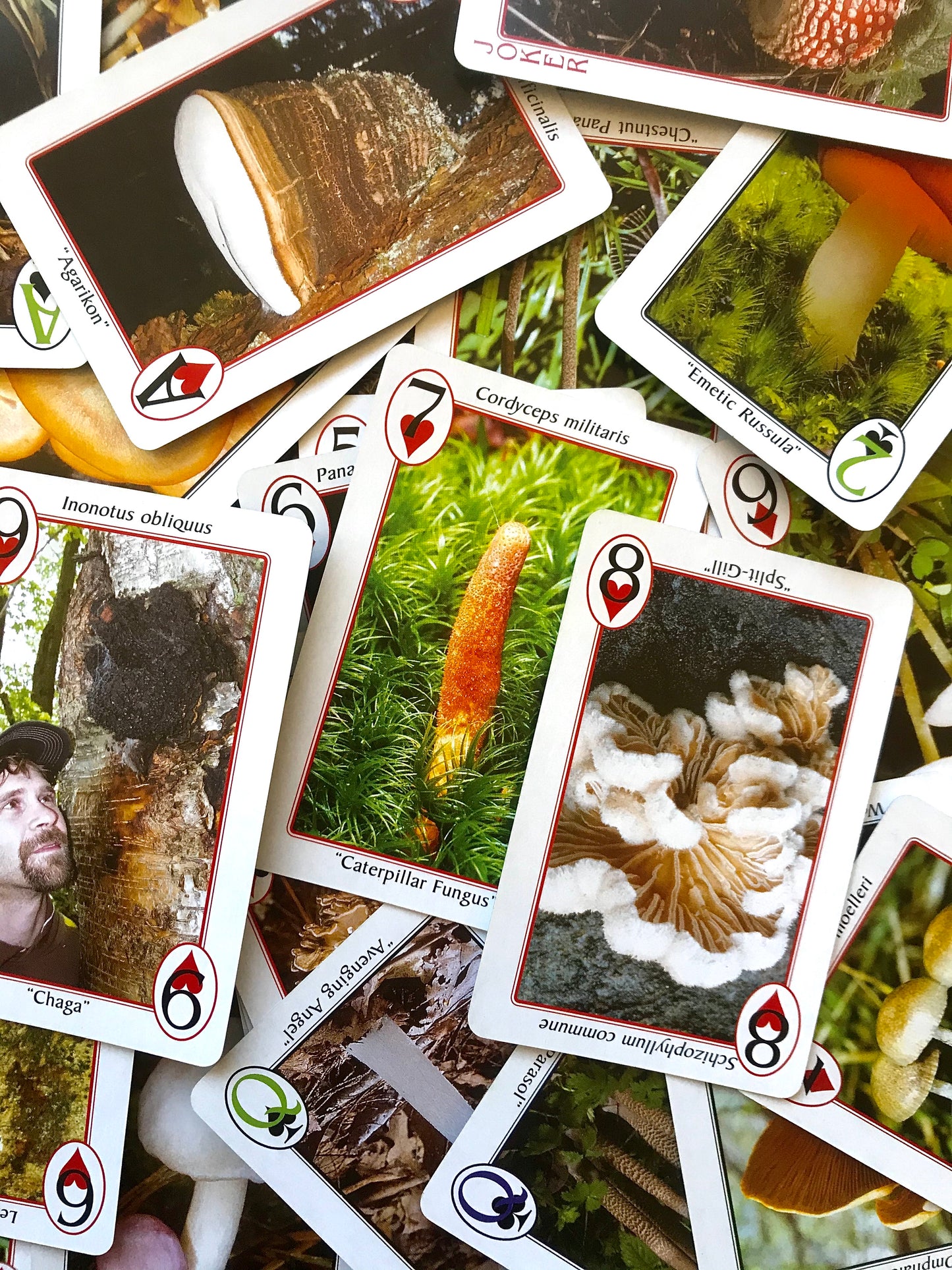 Fungi Perfecti Mushroom Playing Cards