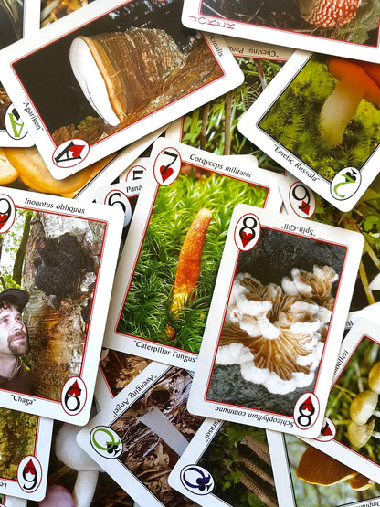 Fungi Perfecti Mushroom Playing Cards