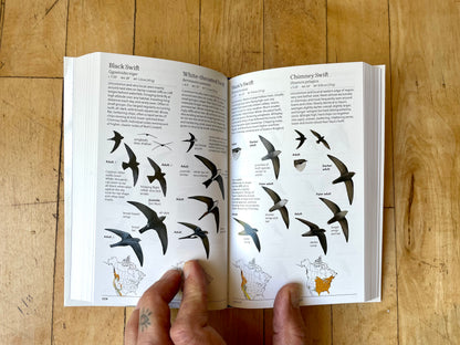 Sibley Birds West Book